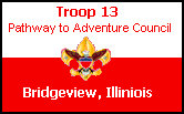 troopflag